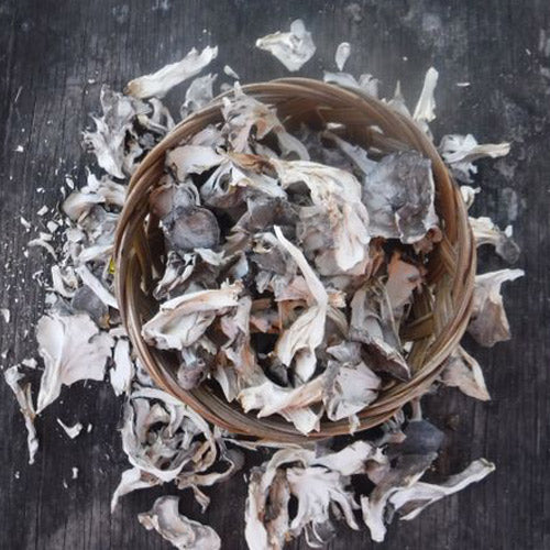 DRIED MAITAKE MUSHROOMS, Pantry from Mushroom Mountain