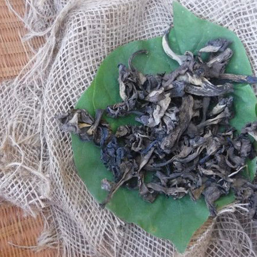 DRIED BLACK TRUMPET MUSHROOMS, Pantry from Mushroom Mountain