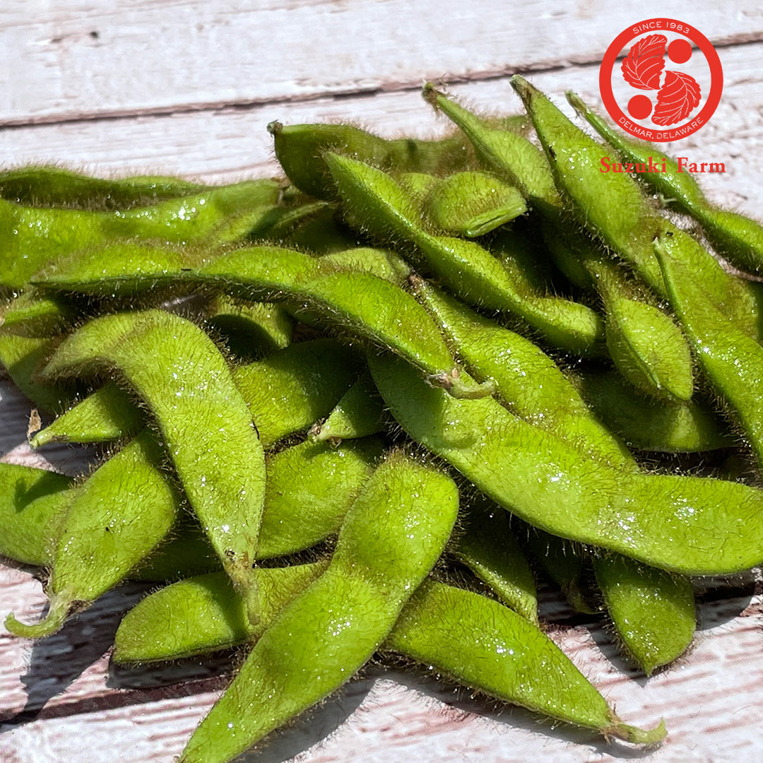 EDAMAME on the stem (Young Soybeans) | Suzuki Farm | 1 bunch, image 4 of 4