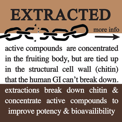 adaptive cacao. performance superfood., Supplement from Roots Apothecary