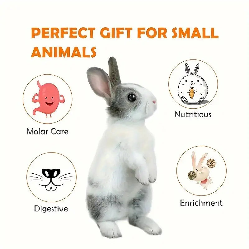 Natural Timothy Hay and Flowers Teething Toys: Suitable For Hamsters, Rabbits, Mice And Other Small Animals, rabbit treat from Dahlia Pets