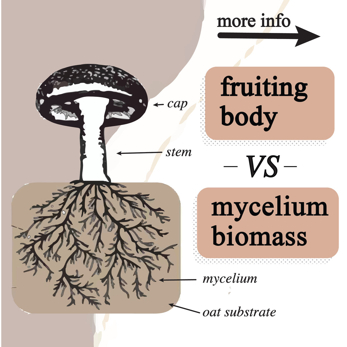 adaptive cacao. performance superfood., Supplement from Roots Apothecary