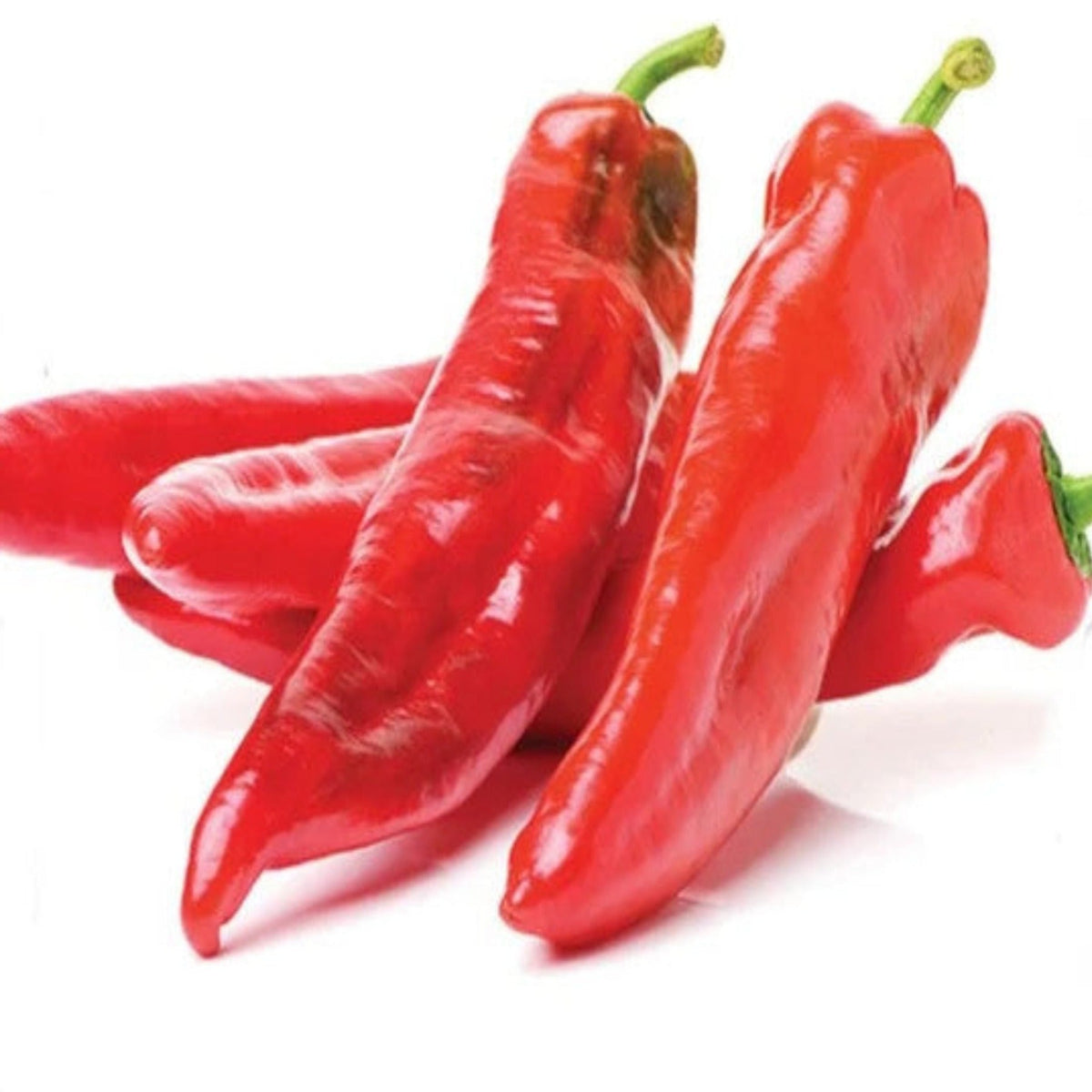 Hatch Cert. Giuzeppi Chile Hot Pepper Seeds by Papaws Garden Supply