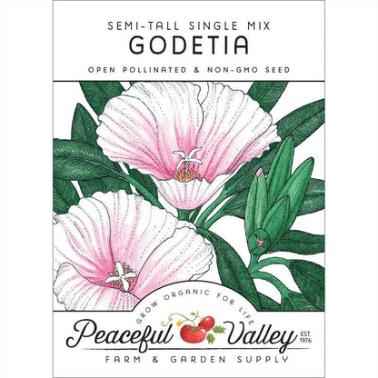 Godetia, Semi-Tall Single Mix (pack)