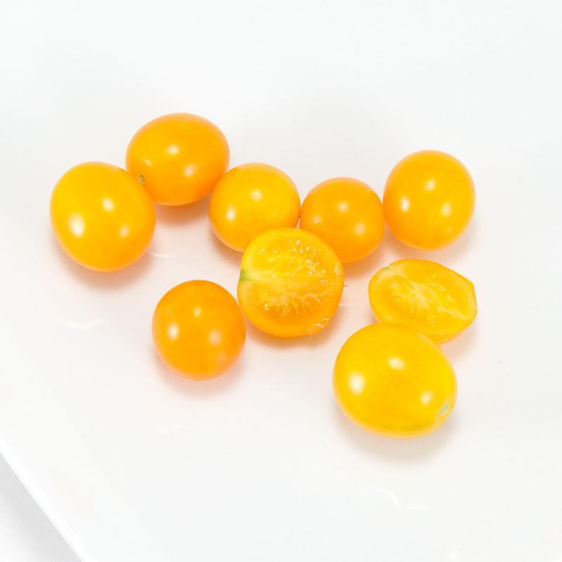 Gold Nugget Tomato Seeds (Organic), Garden from Grow Organic