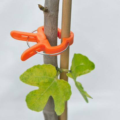 Zenport Vine & Branch Clip, Small, Garden from Grow Organic