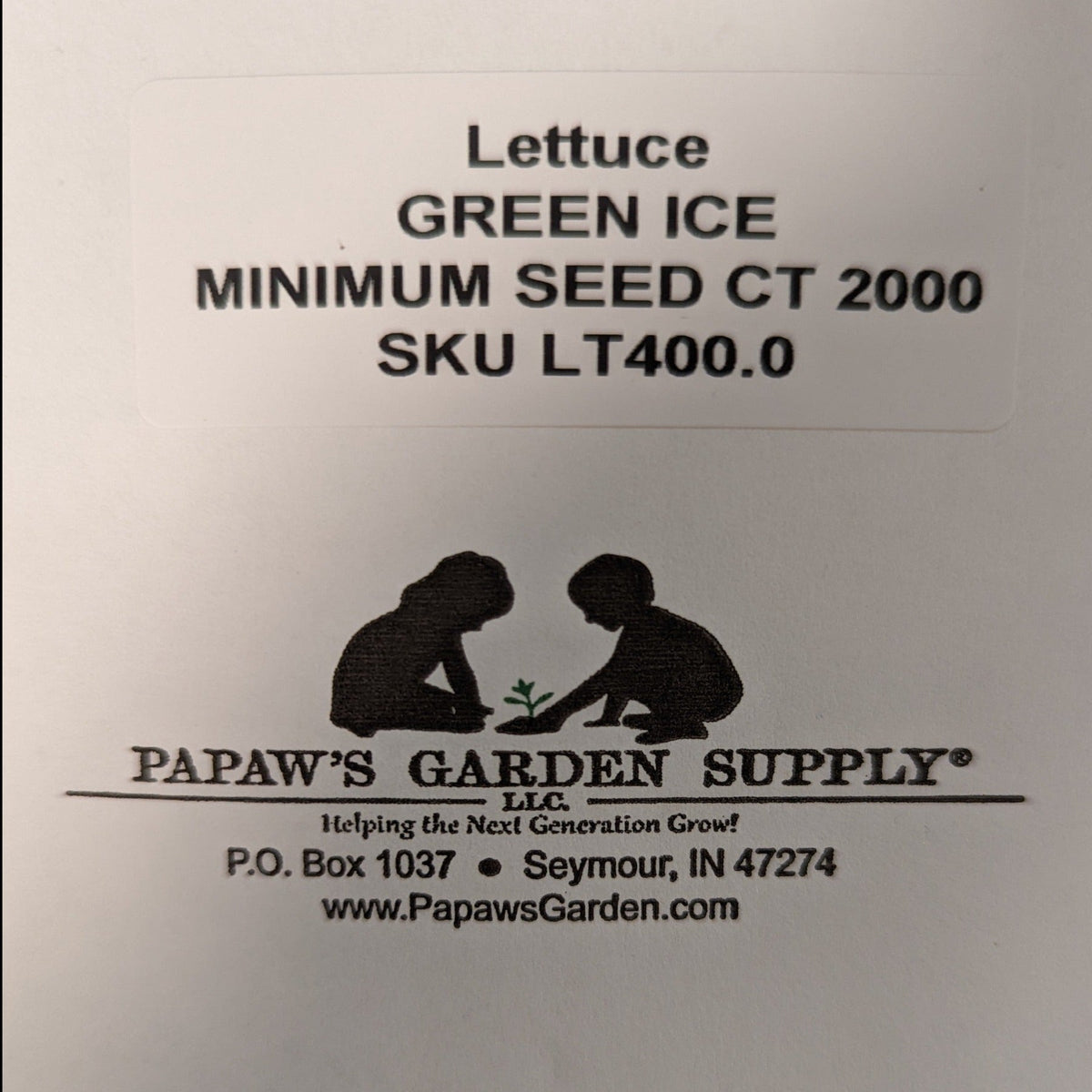 Green Ice Loose Leaf Lettuce Seeds, image 3 of 5
