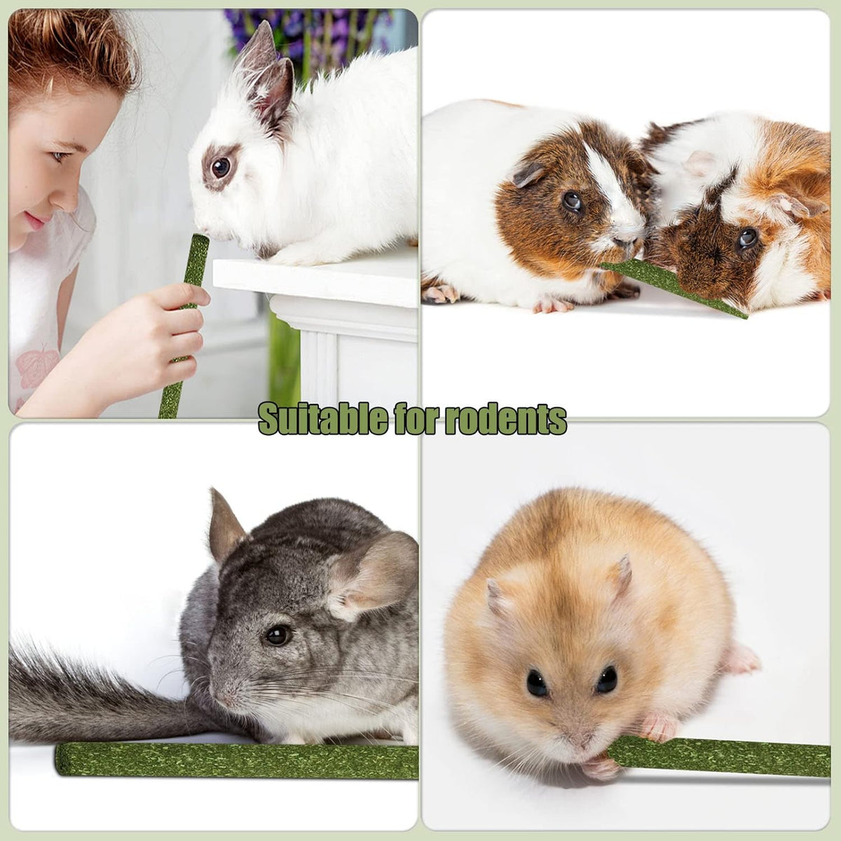 Natural Timothy Grass Stick, Chew Toys for Rabbit, Guinea Pig, Hamster, and Other Small Animals from Dahlia Pets