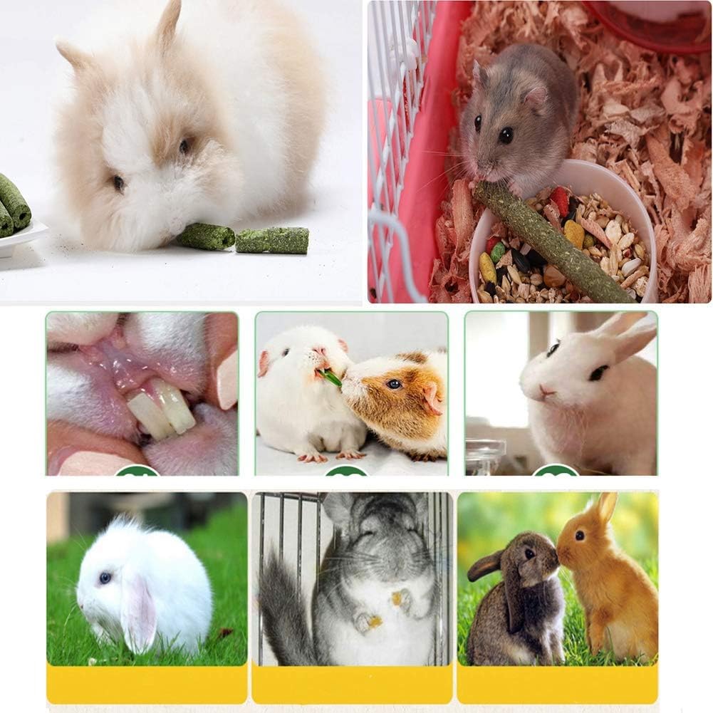 Natural Timothy Grass Stick, Chew Toys for Rabbit, Guinea Pig, Hamster, and Other Small Animals from Dahlia Pets
