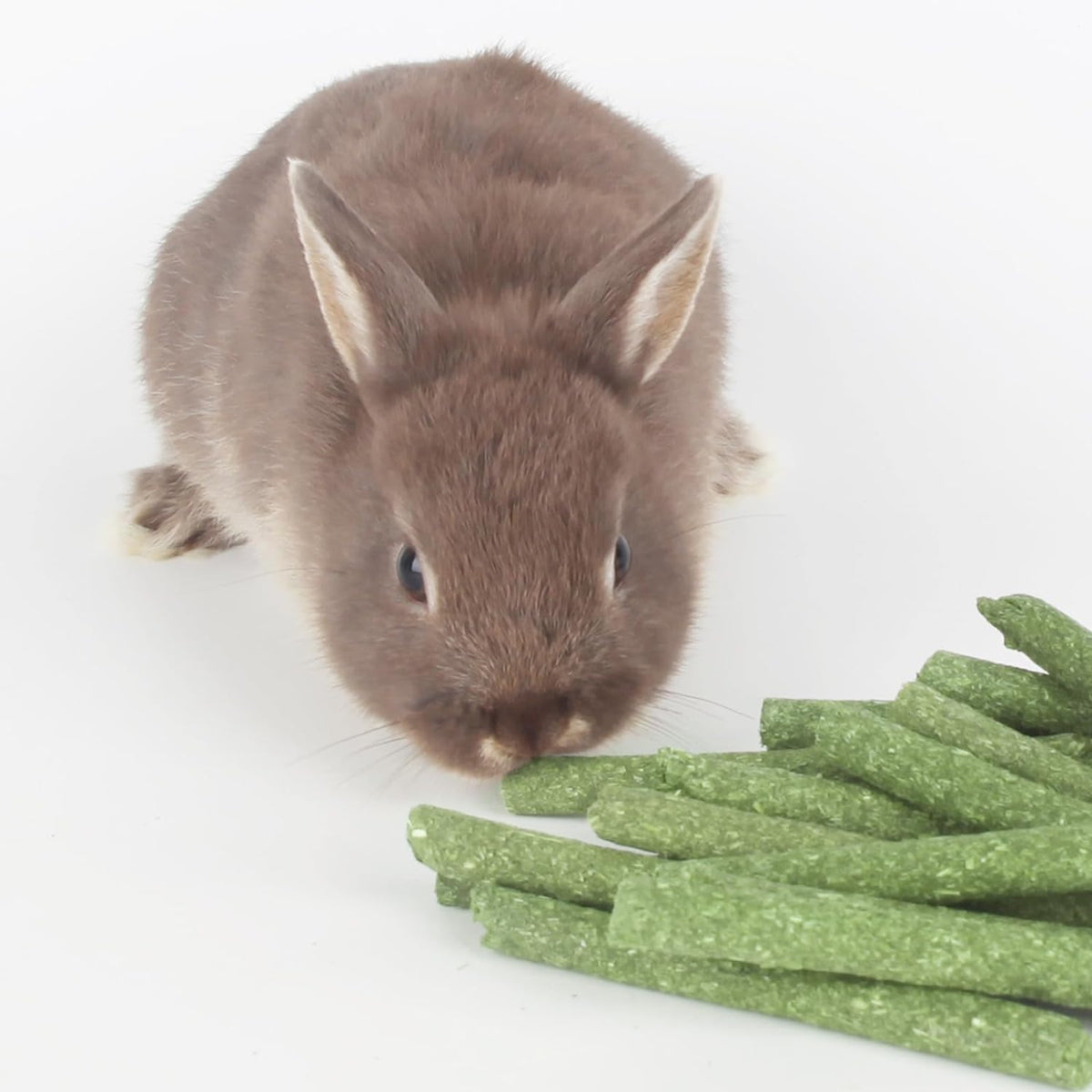 Natural Timothy Grass Stick, Chew Toys for Rabbit, Guinea Pig, Hamster, and Other Small Animals from Dahlia Pets
