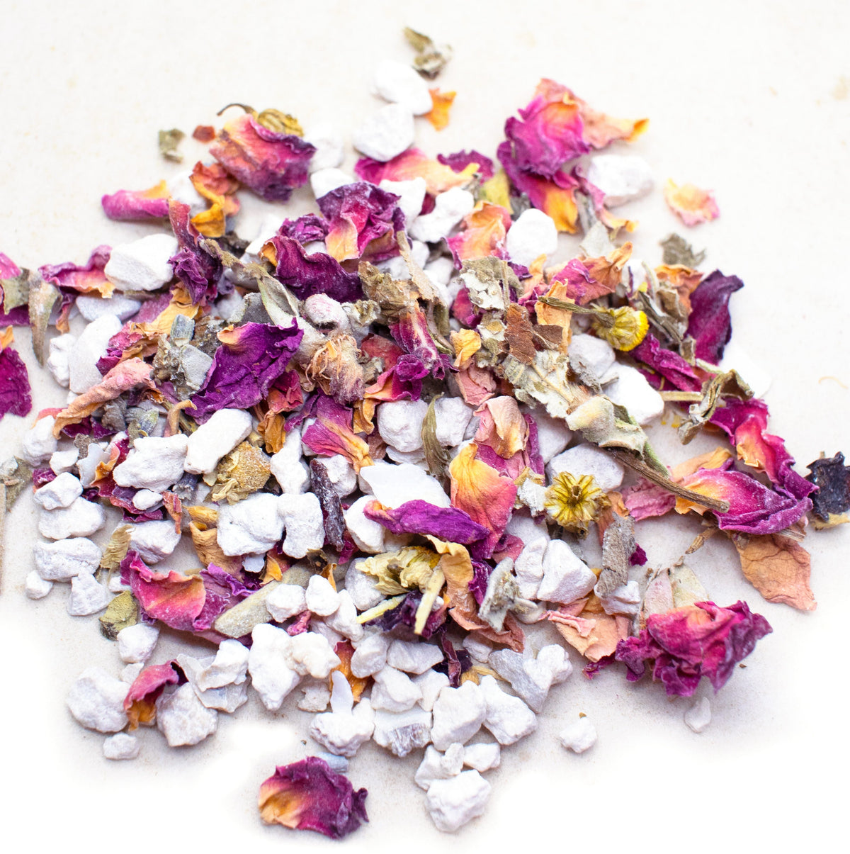 Herbal Oyster Shells from Dahlia Pets