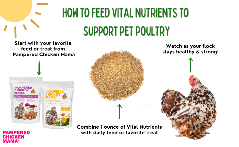 Vital Nutrients: Supplemental Essential Vitamins & Trace Minerals For Pet Chickens & Ducks from Dahlia Pets