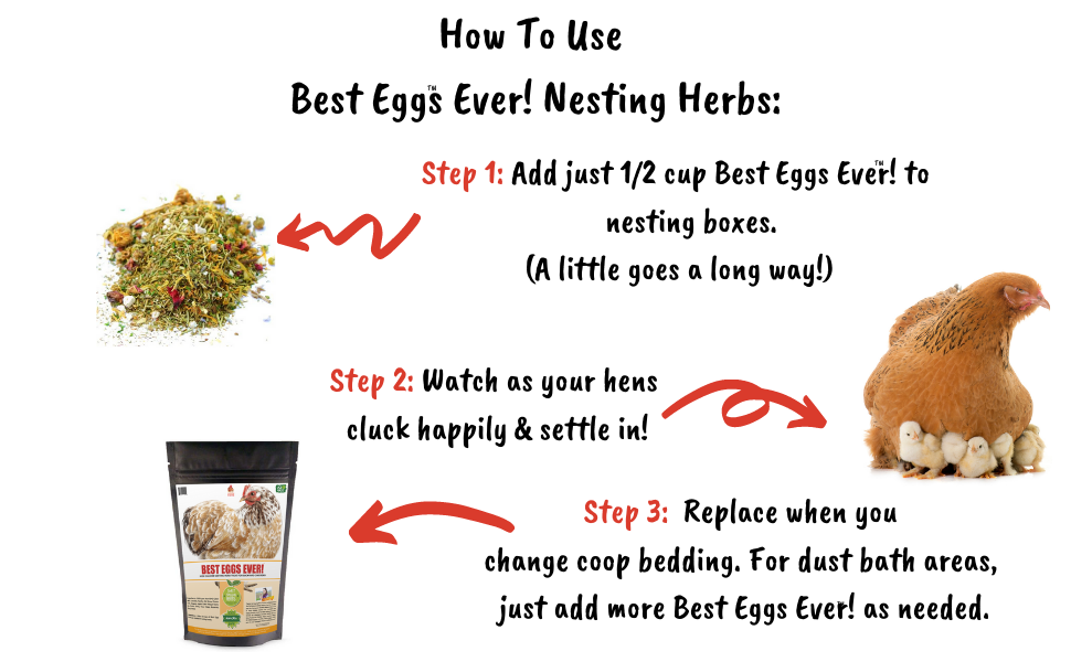 Best Eggs Ever! Nesting Herbs (Chamomile, Roses, Lavender, Cornflowers, & Calendula) For Pet Chickens, Animals & Pet Supplies from Dahlia Pets