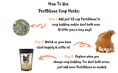 PestsBGone for Keeping Chicken Coops Pest Free! All Natural & Safe [Repel Flies, Mosquitoes, Gnats, & More], Herbs from Dahlia Pets