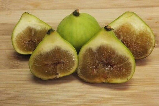 LSU Gold Fig Tree (Ficus carica 'LSU Gold') - Sweet, Golden Fruits for Your Garden from Everglades Farm