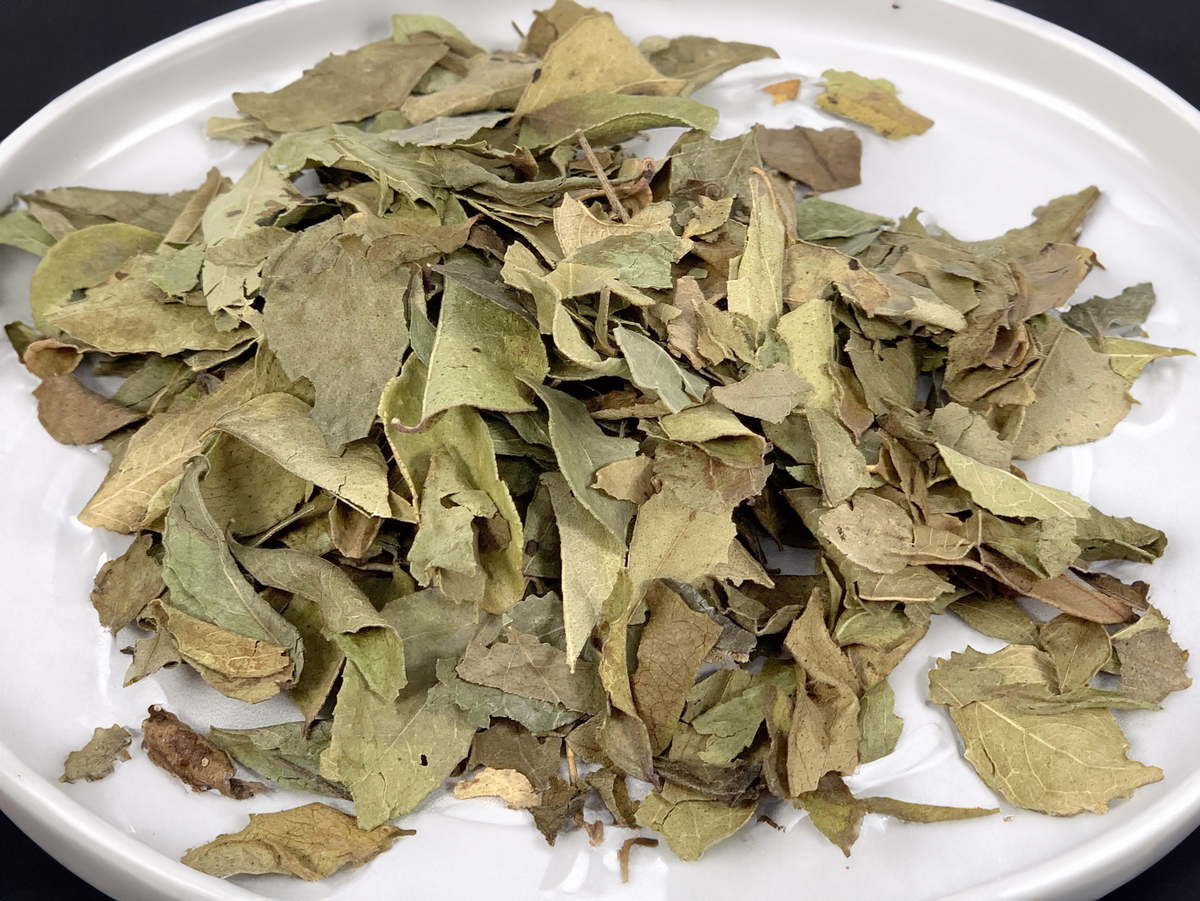 Curry Leaf, image 3 of 4