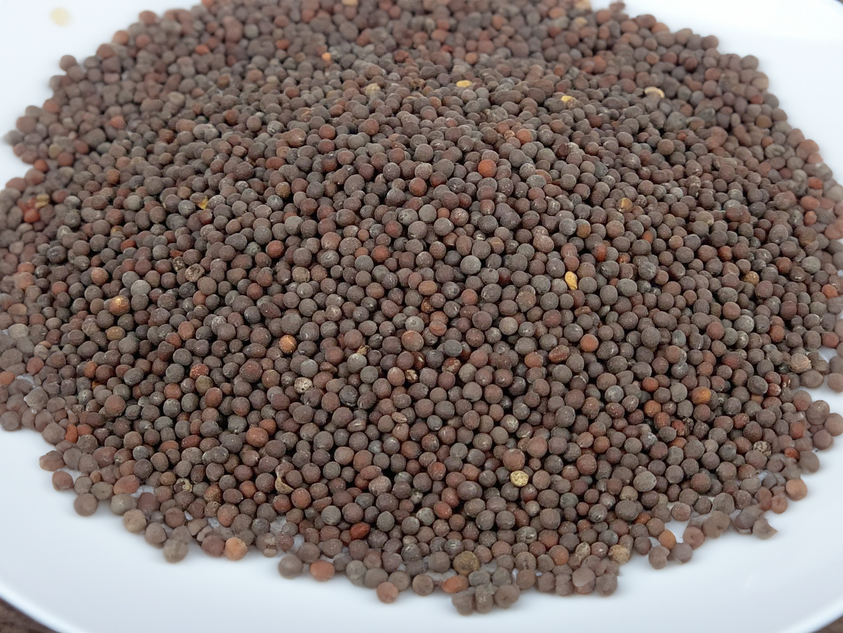 Black Mustard Seed, Whole, image 3 of 4