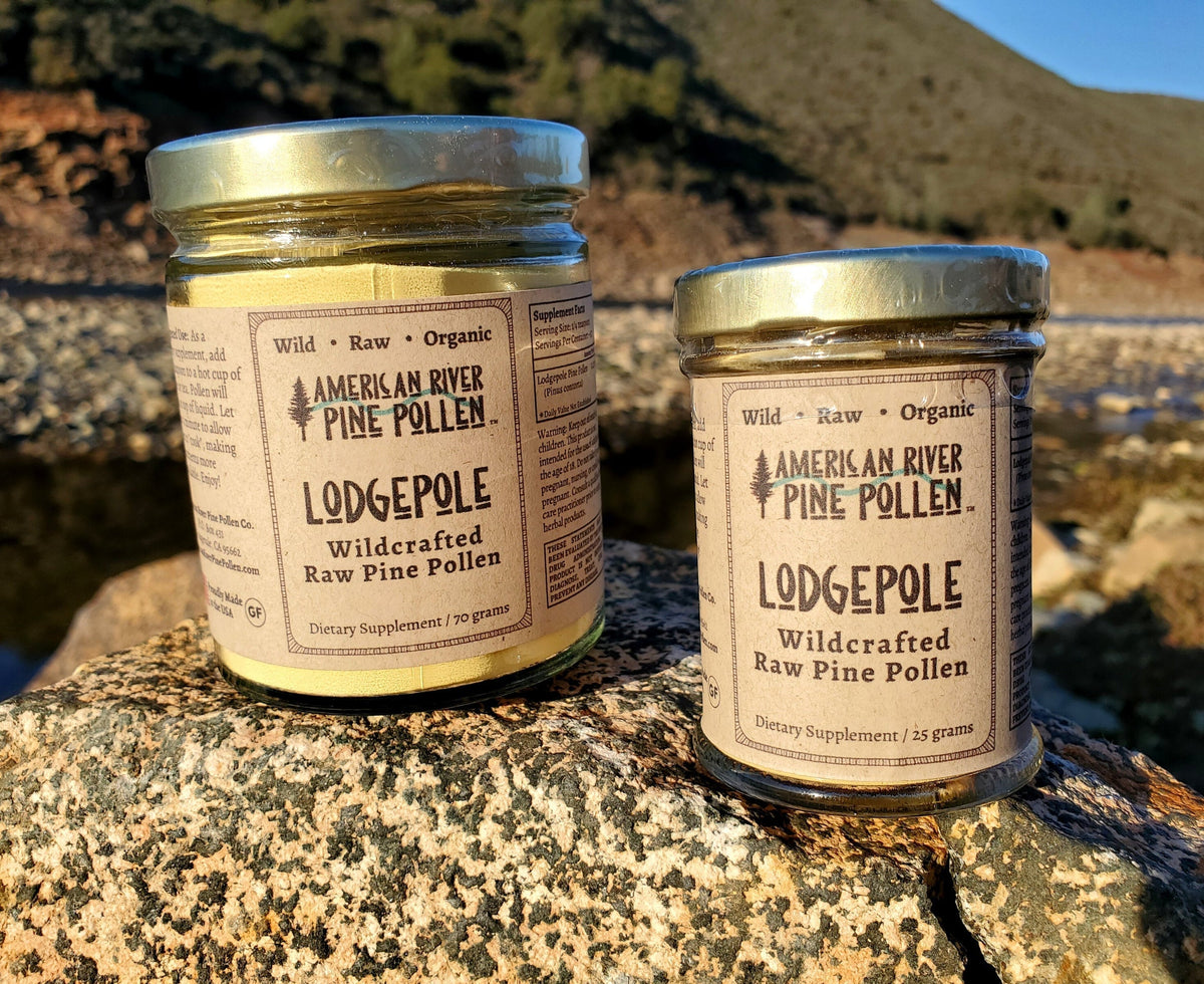 Lodgepole Pine Pollen - Raw and Wild-Harvested by AmericanRiverPinePollen