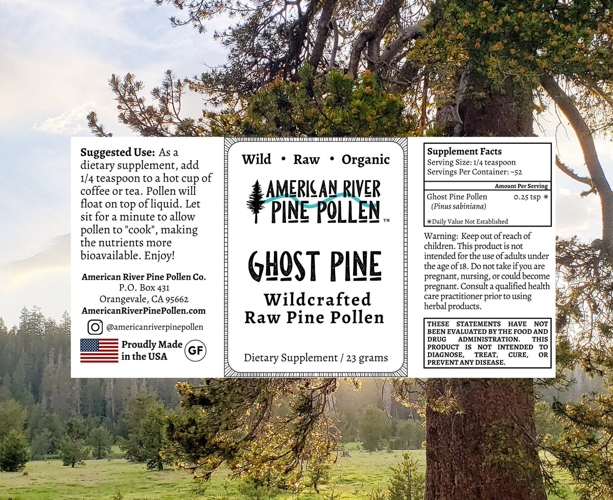 Ghost Pine Pollen - Raw and Wild-Harvested, image 2 of 4