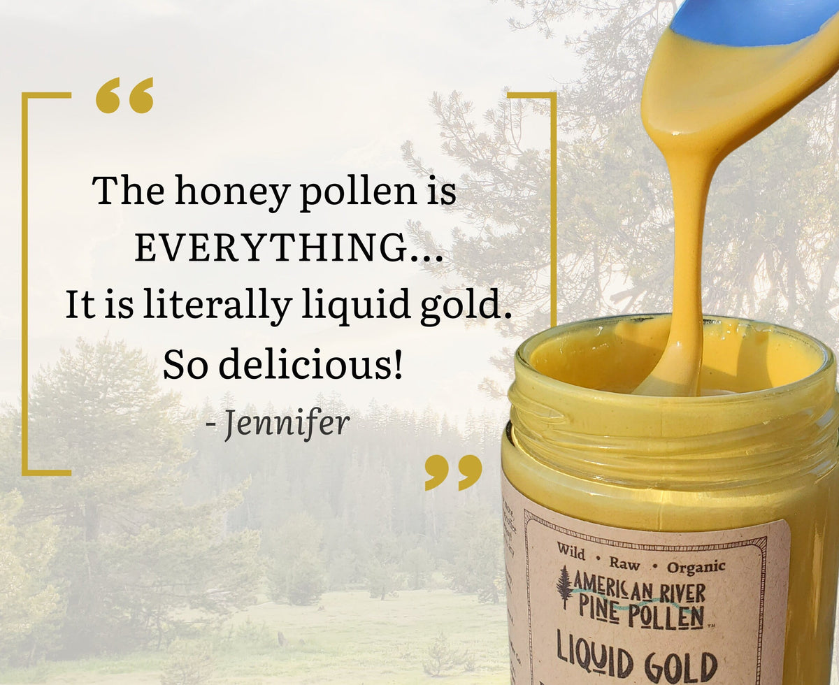 Liquid Gold - Wildcrafted Raw Pine Pollen and Honey - Traditional Blend with Pine Synergy, image 3 of 5