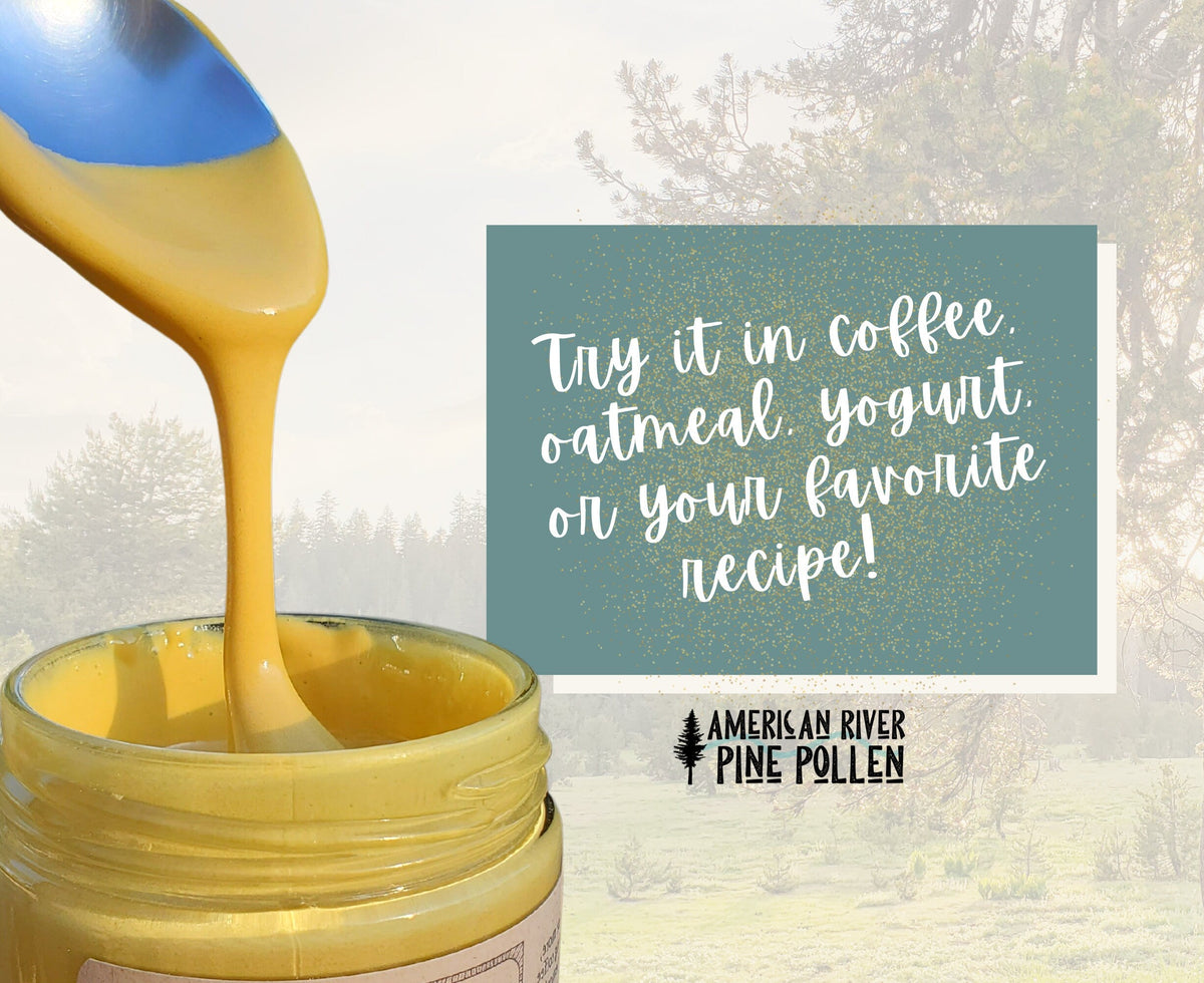 Liquid Gold - Wildcrafted Raw Pine Pollen and Honey - Traditional Blend with Pine Synergy, image 5 of 5