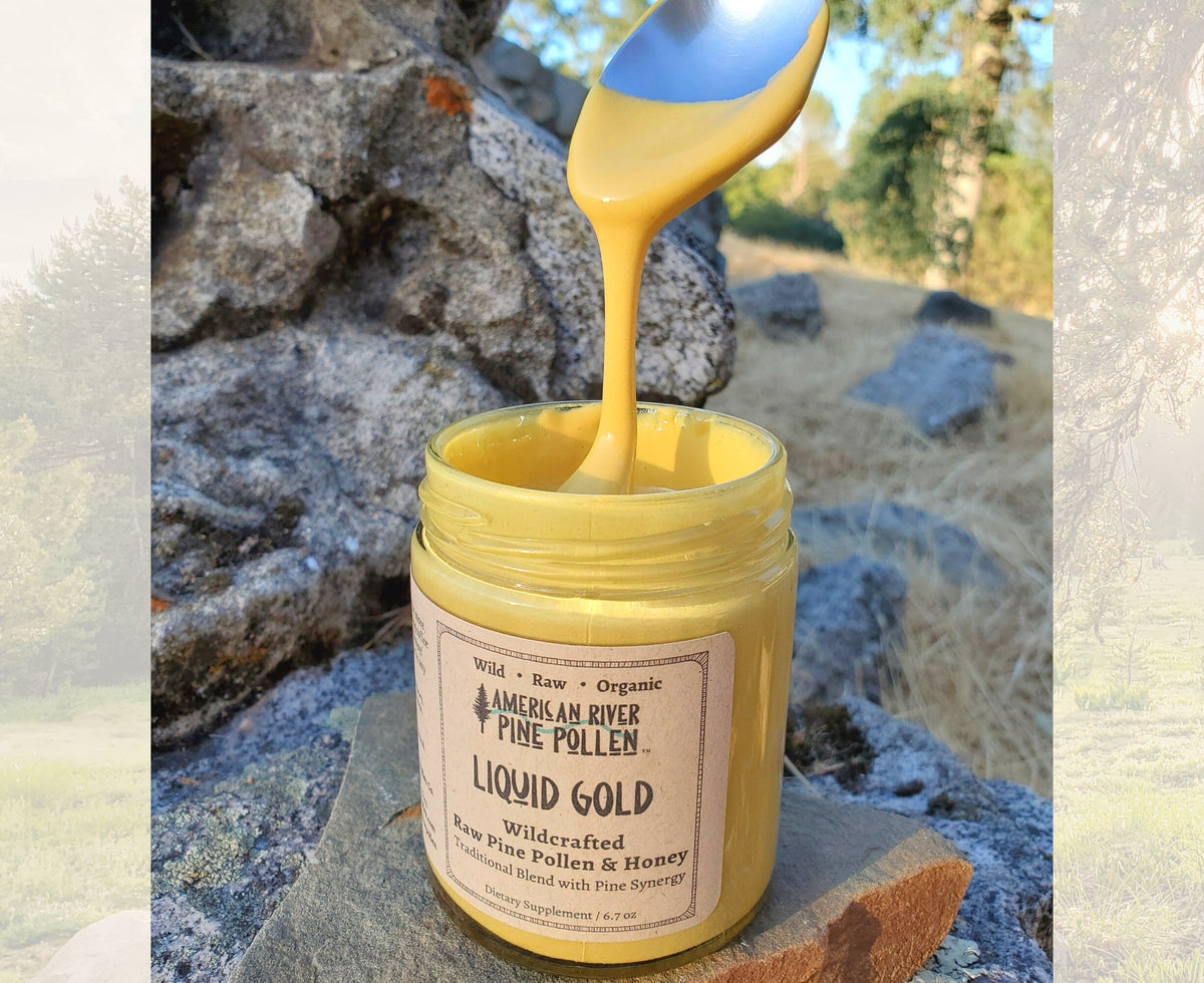 Liquid Gold - Wildcrafted Raw Pine Pollen and Honey - Traditional Blend with Pine Synergy by AmericanRiverPinePollen