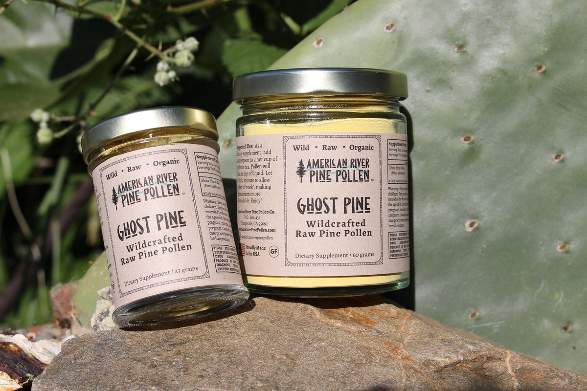 Ghost Pine Pollen - Raw and Wild-Harvested by AmericanRiverPinePollen
