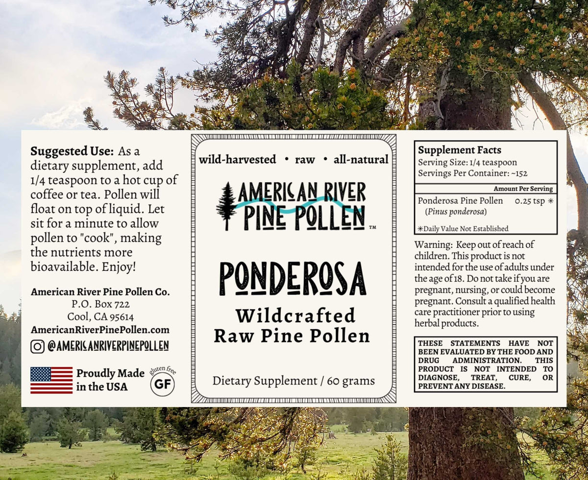 Ponderosa Pine Pollen - Raw and Wild-Harvested, image 3 of 4