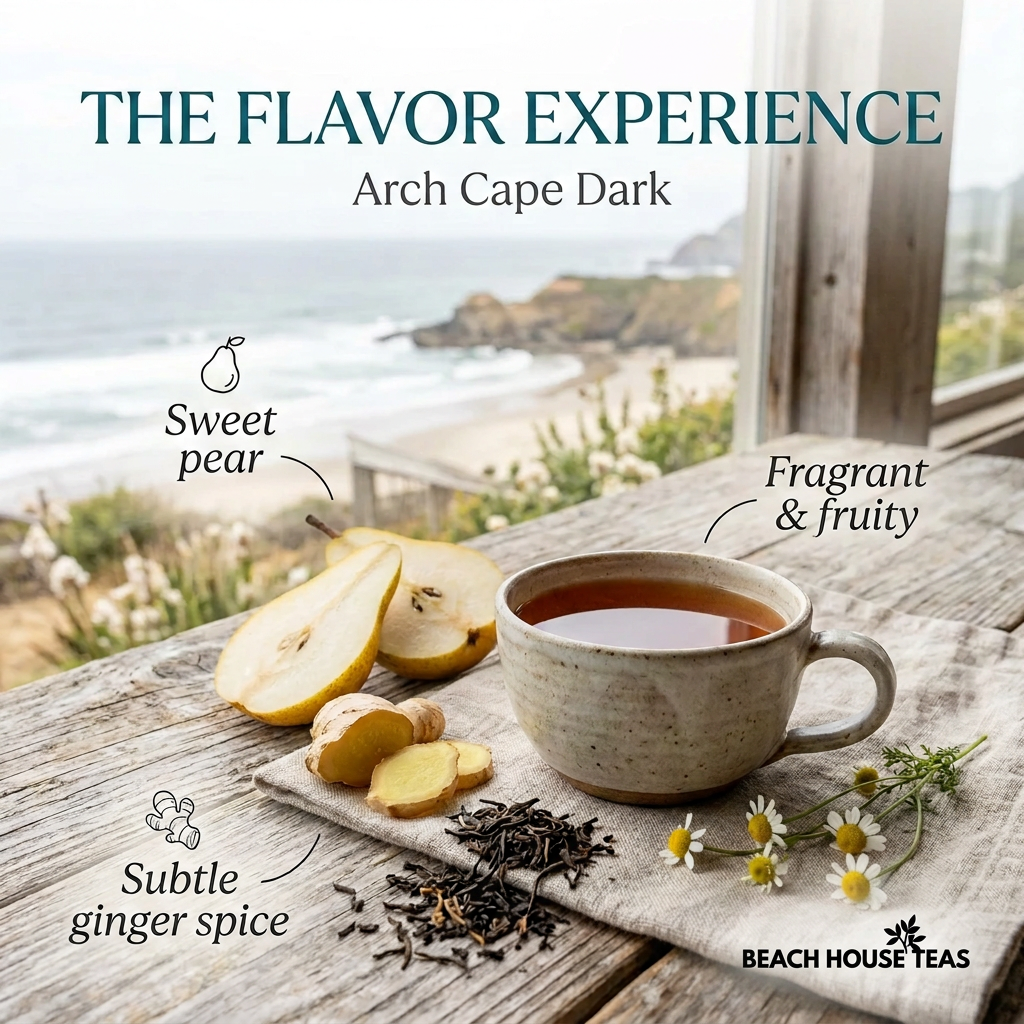 Arch Cape Dark