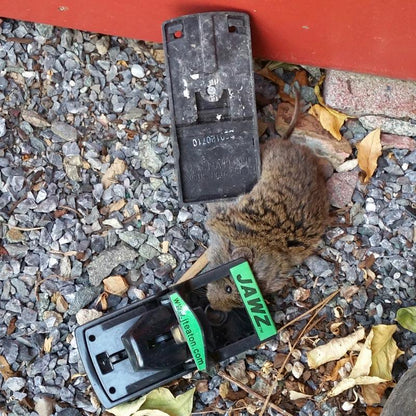 Jawz Mouse Trap, Garden from Grow Organic