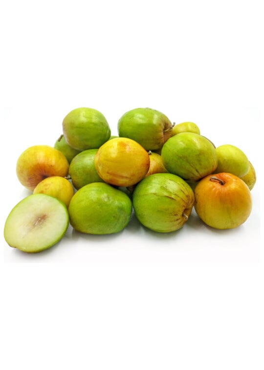 Jujube Tree Grafted