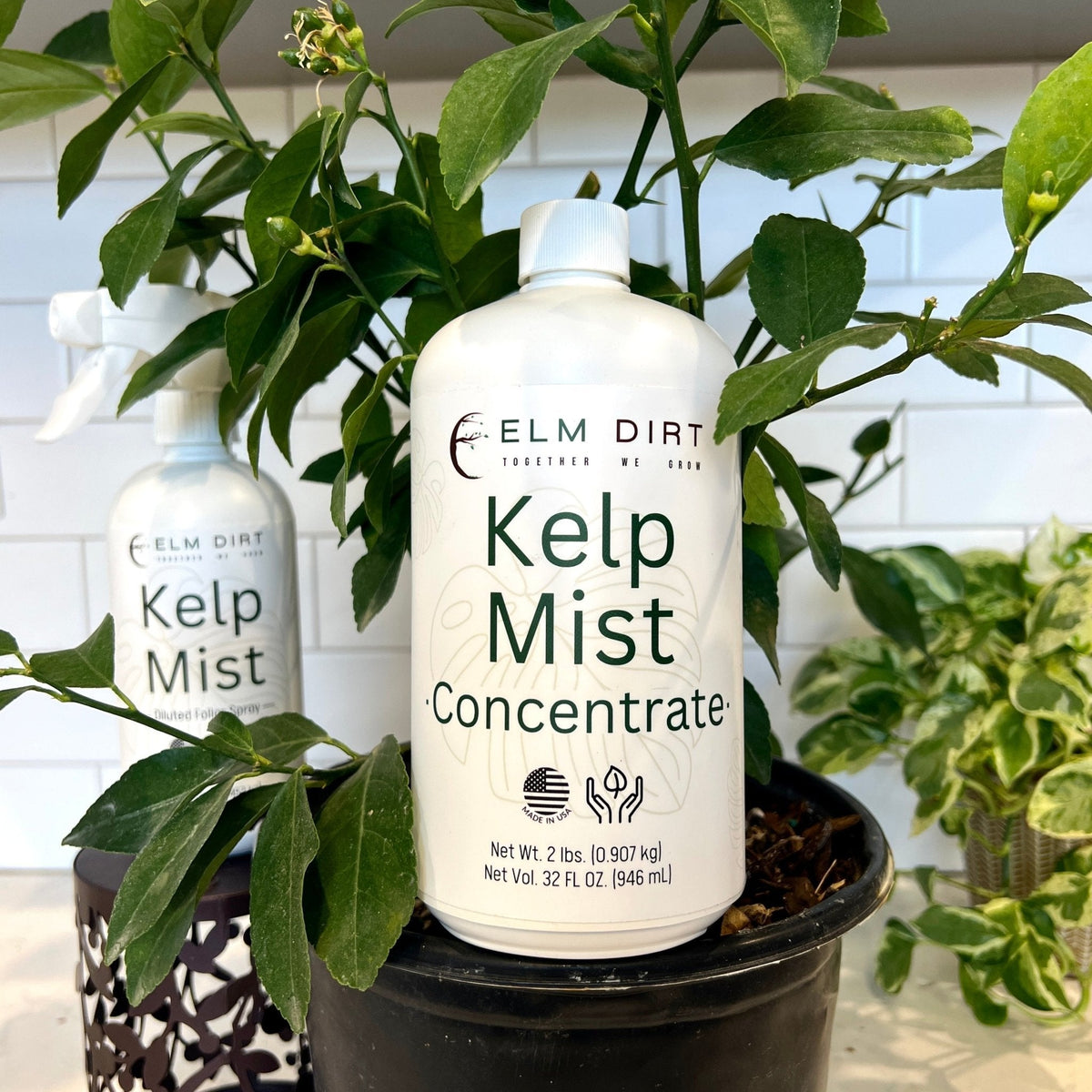 Kelp Mist Foliar Spray