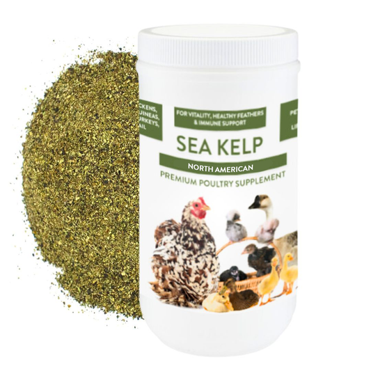 North Atlantic Kelp For Extra Vitamins, Minerals, & Amino Acids For Pet Chickens & Ducks from Dahlia Pets