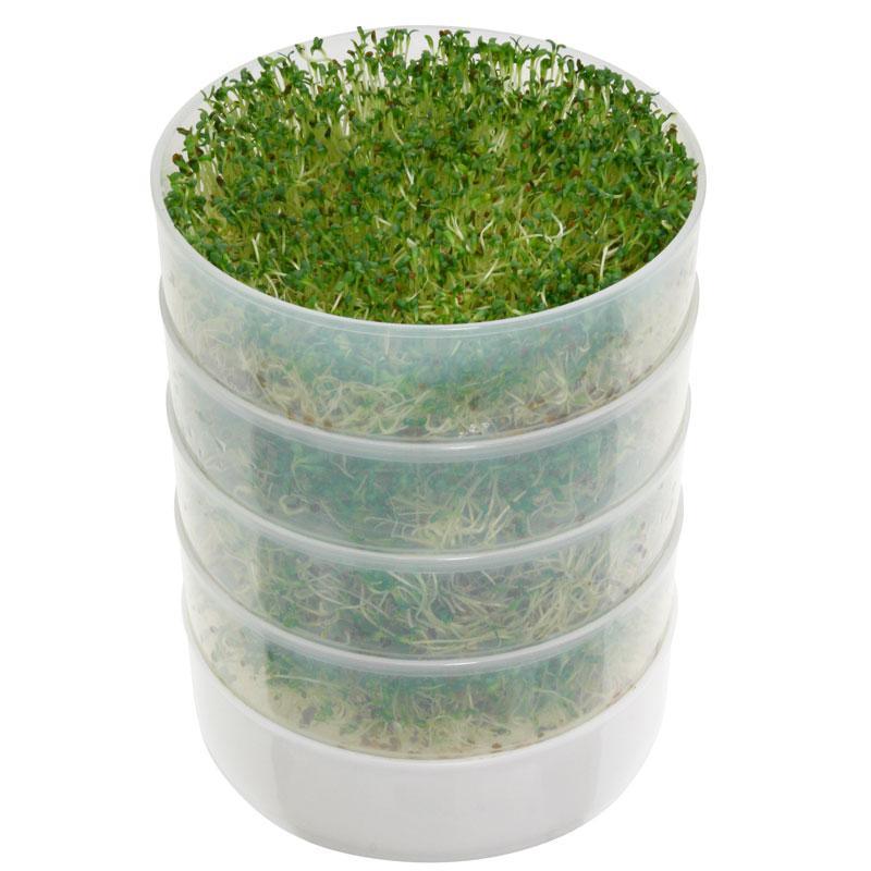 Kitchen Crop Round 4-Tray Seed Sprouting Kit, Garden from Grow Organic