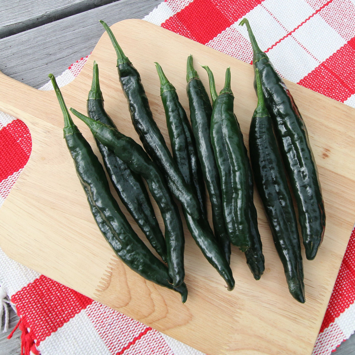 Pasilla Bajio Pepper by MIgardener