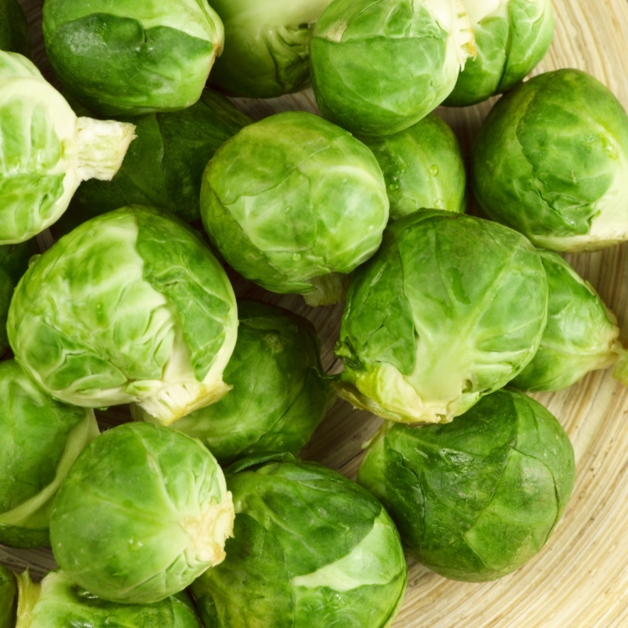 Catskill Brussel Sprout by MIgardener