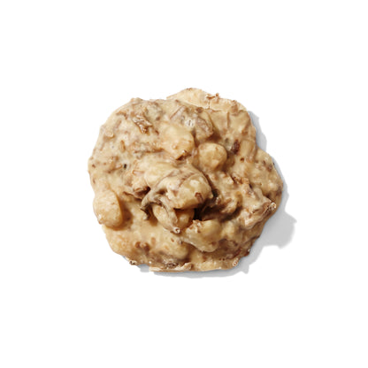Toasted Coconut and Macadamia Nut Pralines, Confection from Louisiana Candy Company