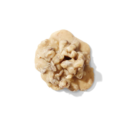 Creamy Walnut Praline 6-Count, Confection from Louisiana Candy Company