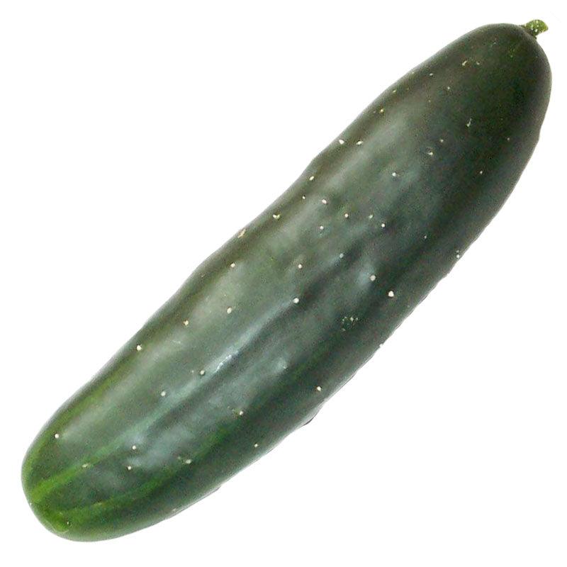 Marketmore 76 Cucumber Seeds (Organic), Garden from Grow Organic