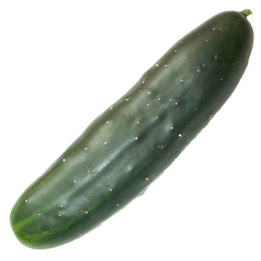 Marketmore 76 Cucumber Seeds (Organic), Garden from Grow Organic