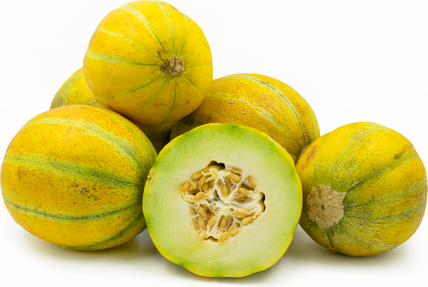 Ha'Ogen Melon by MIgardener