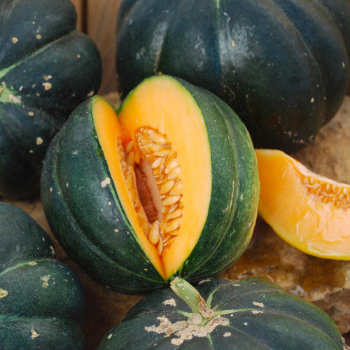 Noir Des Carmes Melon by MIgardener