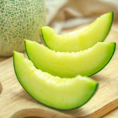 Rocky Ford Cantaloupe Melon by MIgardener