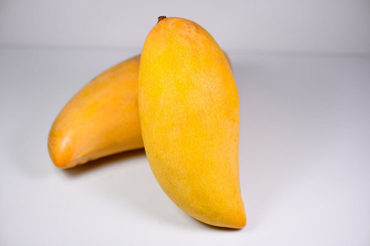 Nam Doc Mai # 4 Dwarf Mango Tree, Grafted, Fruit Trees from Everglades Farm