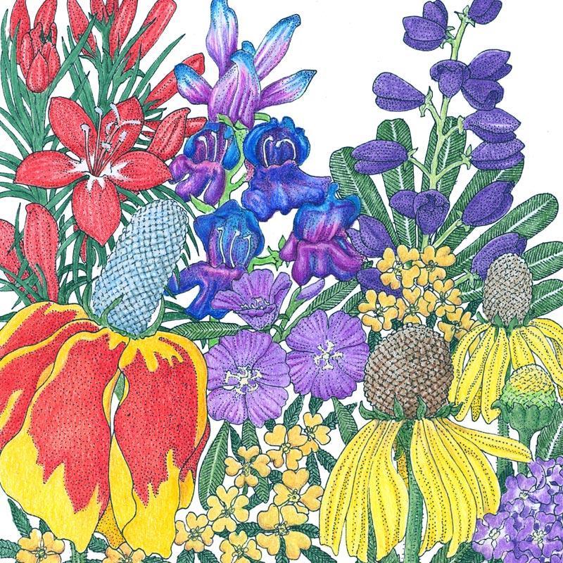 North American Perennial Wildflower Mix (lb) by Grow Organic