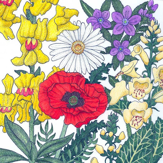 North American Shade Wildflower Mix (1/4 lb), Garden from Grow Organic