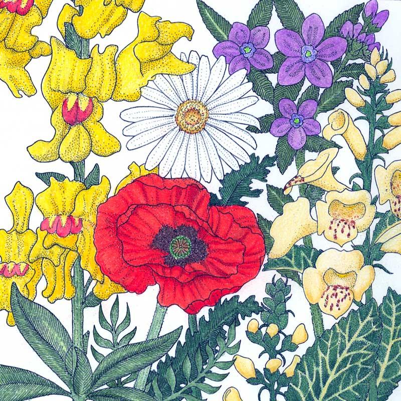 North American Shade Wildflower Mix (lb), Garden from Grow Organic