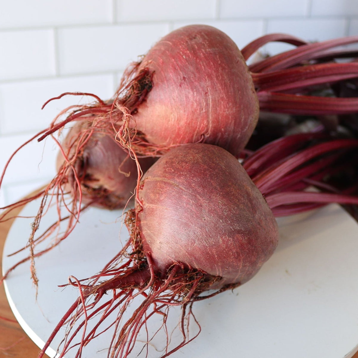 Bull's Blood Beet by MIgardener