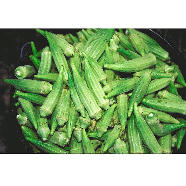 Clemson Spineless 80 Okra Seeds (Organic), Garden from Grow Organic