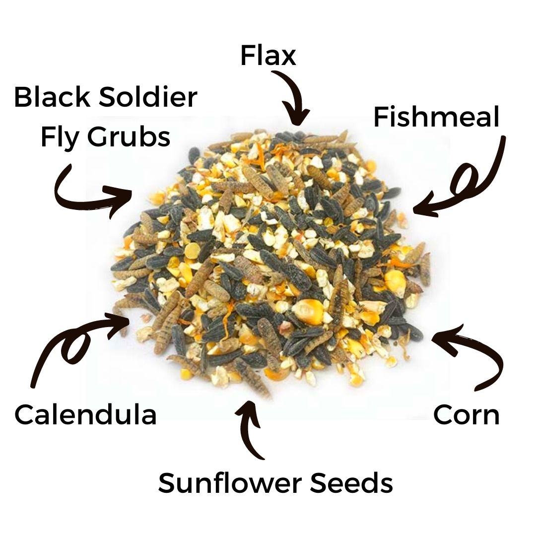 Omega Burst: Omega Rich Treat For Great Eggs & Feathers! from Dahlia Pets
